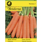 Bröderna Nelsons Kasvien Ja Nurmikonsiemenet-Porkkana Nantaise 2 Siemen