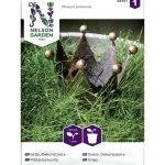 Nelson Garden Basic Kasvien Ja Nurmikonsiemenet-Pääsiäisruoho Siemen