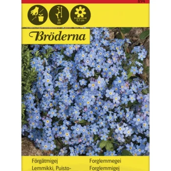 Bröderna Nelsons Kasvien Ja Nurmikonsiemenet-Puistolemmikki Siemen