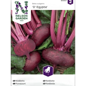 Nelson Garden Basic Kasvien Ja Nurmikonsiemenet-Punajuuri Siemen D' Egypte