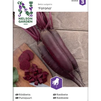 Nelson Garden Basic Kasvien Ja Nurmikonsiemenet-Punajuuri Siemen Forono Pitkä