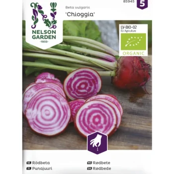 Nelson Garden Basic Kasvien Ja Nurmikonsiemenet-Punajuuri Siemen Chioggia Organic