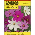 Bröderna Nelsons Kasvien Ja Nurmikonsiemenet-Punakosmoskukka Early Summer Siemen
