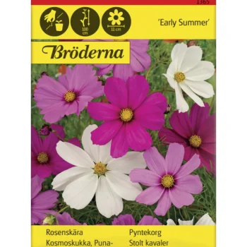 Bröderna Nelsons Kasvien Ja Nurmikonsiemenet-Punakosmoskukka Early Summer Siemen