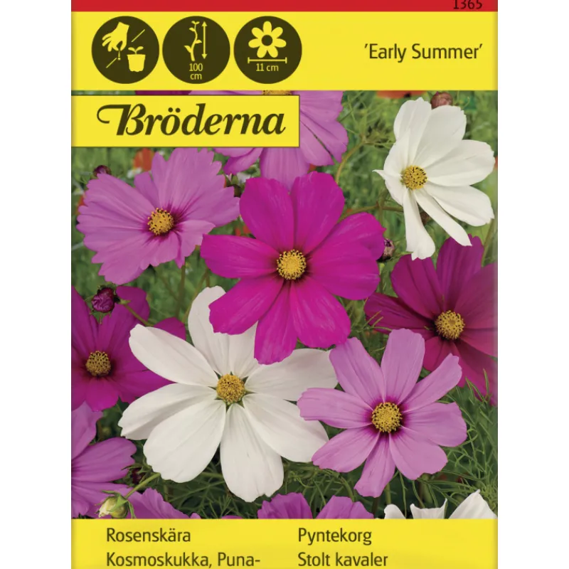 punakosmoskukka-early-summer-s-wdDFnqxn-0.webp Bröderna Nelsons Kasvien Ja Nurmikonsiemenet-Punakosmoskukka Early Summer Siemen