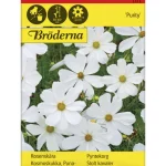 Bröderna Nelsons Kasvien Ja Nurmikonsiemenet-Punakosmoskukka Purity Siemen