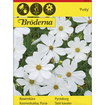 Bröderna Nelsons Kasvien Ja Nurmikonsiemenet-Punakosmoskukka Purity Siemen