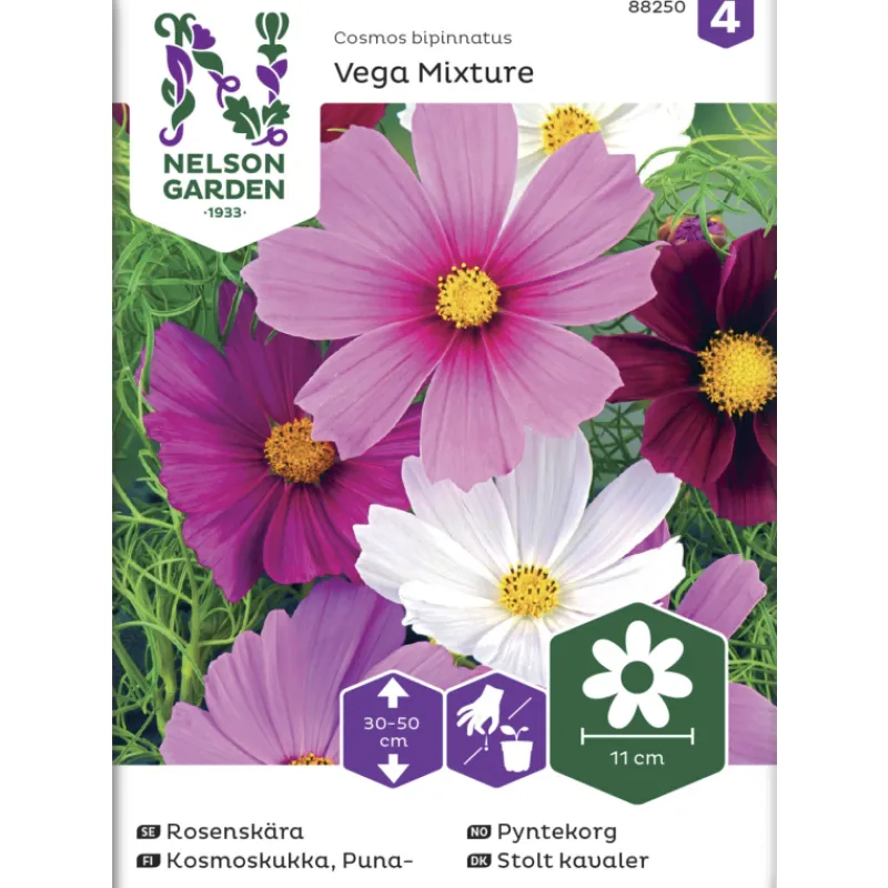 punakosmoskukka-siemen-nelson-mWWaiytf-0.webp Nelson Garden Basic Kasvien Ja Nurmikonsiemenet-Punakosmoskukka Siemen Vega Mixture