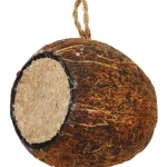 Real Bird Linnunruoka^Rasvasiemenseos 450 G Kookoksessa