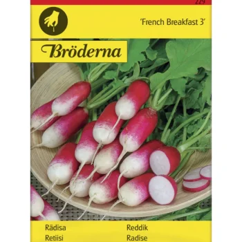Bröderna Nelsons Kasvien Ja Nurmikonsiemenet-Retiisi French Breakfast 3 Siemen