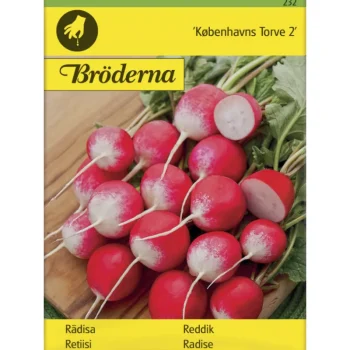 Bröderna Nelsons Kasvien Ja Nurmikonsiemenet-Retiisi Ku00f8benhavns Torve 2 Rund Siemen