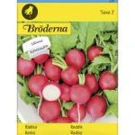 Bröderna Nelsons Kasvien Ja Nurmikonsiemenet-Retiisi Saxa 2 Kylvönauha Siemen