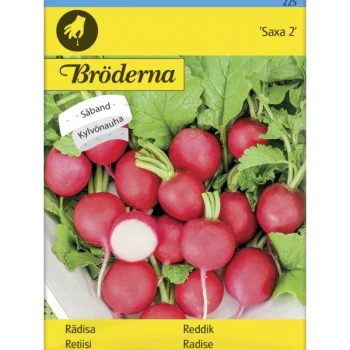 Bröderna Nelsons Kasvien Ja Nurmikonsiemenet-Retiisi Saxa 2 Kylvönauha Siemen