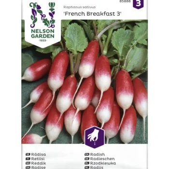Nelson Garden Basic Kasvien Ja Nurmikonsiemenet-Retiisi Siemen French Breakfast 3