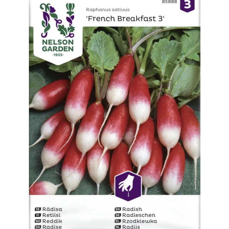 retiisi-siemen-nelson-garden-b-TabhjdBd-0.webp Nelson Garden Basic Kasvien Ja Nurmikonsiemenet-Retiisi Siemen French Breakfast 3