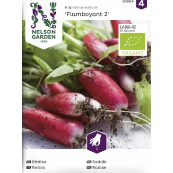 Nelson Garden Basic Kasvien Ja Nurmikonsiemenet-Retiisi Siemen Flamboyant 2 Organic