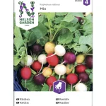 Nelson Garden Basic Kasvien Ja Nurmikonsiemenet-Retiisi Siemenseos Purp. Pink Albena Zlata