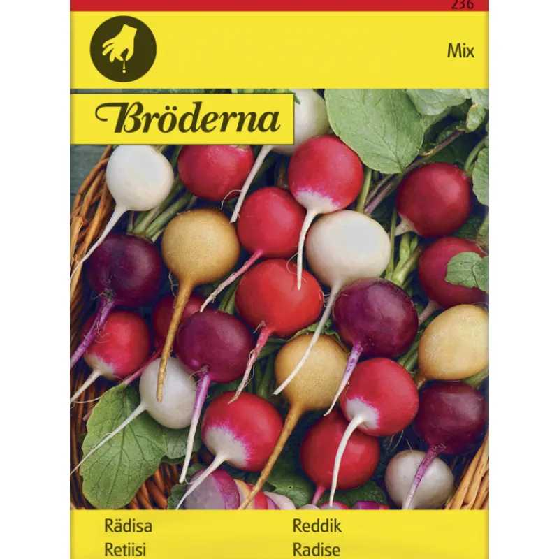 retiisiseos-purp-pink-albena-z-XfvmfHhO-0.webp Bröderna Nelsons Kasvien Ja Nurmikonsiemenet-Retiisiseos Purp. Pink Albena Zlata Siemen