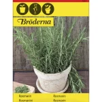 rosmariini-siemen-brderna-nels-aXbivXRR-0.webp
