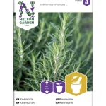 Nelson Garden Basic Kasvien Ja Nurmikonsiemenet-Rosmariini Siemen