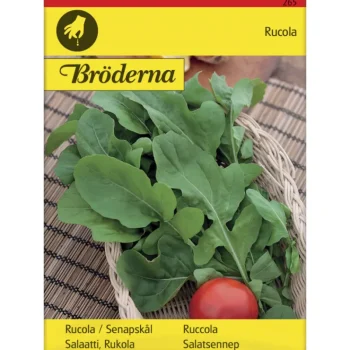Bröderna Nelsons Kasvien Ja Nurmikonsiemenet-Rukolasalaatti Siemen