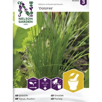 Nelson Garden Basic Kasvien Ja Nurmikonsiemenet-Ruohosipuli Siemen Tavallinen Dolores