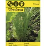 Bröderna Nelsons Kasvien Ja Nurmikonsiemenet-Ruohosipuli Tavallinen Dolores Siemen