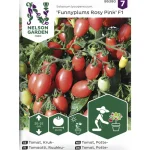 Nelson Garden Basic Kasvien Ja Nurmikonsiemenet-Ruukkutomaatti Siemen FunnyplumsRosyPinkF1