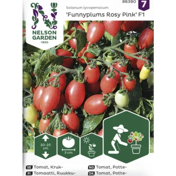 Nelson Garden Basic Kasvien Ja Nurmikonsiemenet-Ruukkutomaatti Siemen FunnyplumsRosyPinkF1