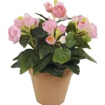 Kotikulta Tekokasvit-Ruusubegonia 26 Cm Pinkki