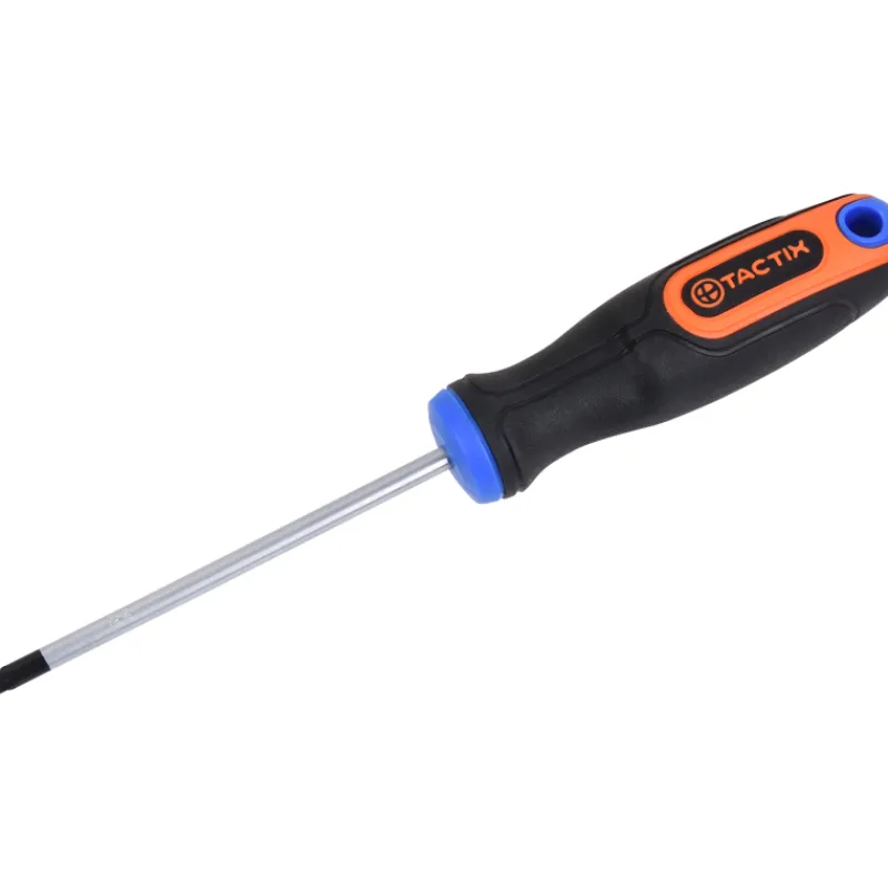 ruuvimeisseli-tactix-pz1-100-m-YVcVBamW-0.webp Tactix Käsityökalut-Ruuvimeisseli Pz1 100 Mm (Pozidriv)