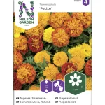 Nelson Garden Basic Kasvien Ja Nurmikonsiemenet-Ryhmäsamettikukka Siemen Petite Seos