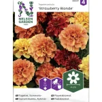 Nelson Garden Basic Kasvien Ja Nurmikonsiemenet-Ryhmäsamettikukka Siemen 'Strawberry Blonde