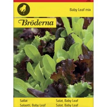 Bröderna Nelsons Kasvien Ja Nurmikonsiemenet-Salaatti Baby Leaf Seos Siemen