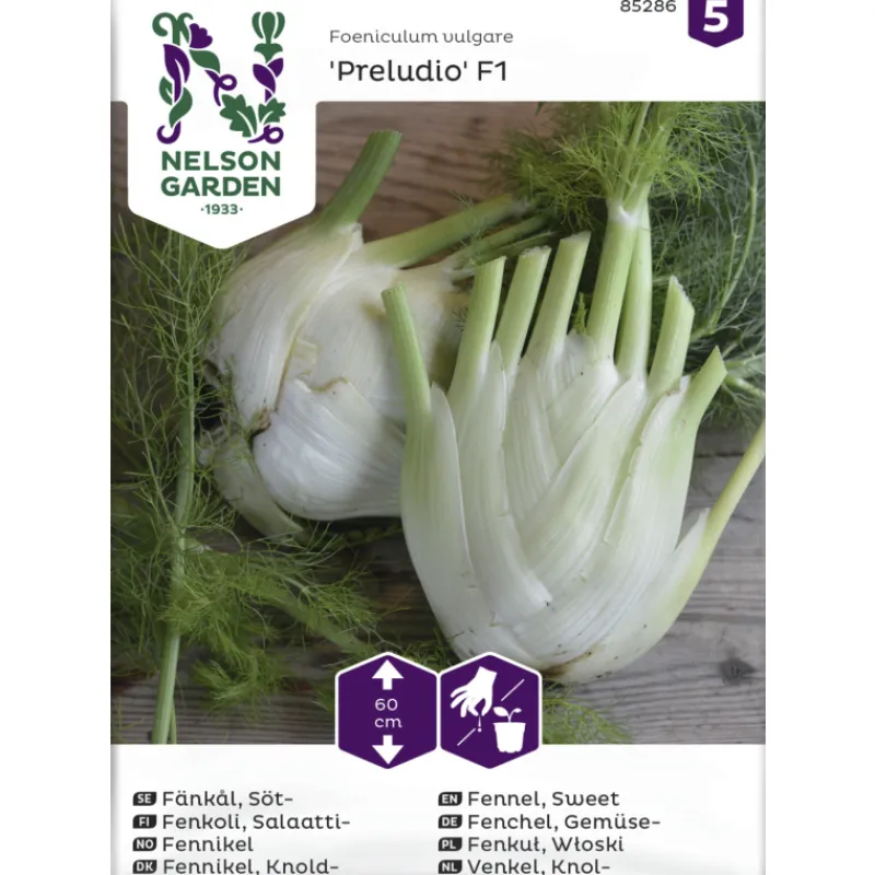 salaattifenkoli-siemen-nelson-TPZtDBhb-0.webp Nelson Garden Basic Kasvien Ja Nurmikonsiemenet-Salaattifenkoli Siemen Preludio F1