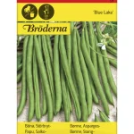 Bröderna Nelsons Kasvien Ja Nurmikonsiemenet-Salkopapu Blue Lake Siemen