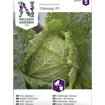 Nelson Garden Basic Kasvien Ja Nurmikonsiemenet-Savojinkaali Siemen Convoy F1