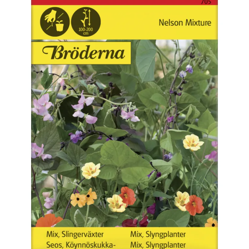 seos-kynnskukkia-siemen-brder-RqvdKeqz-0.webp Bröderna Nelsons Kasvien Ja Nurmikonsiemenet-Seos Köynnöskukkia- Siemen