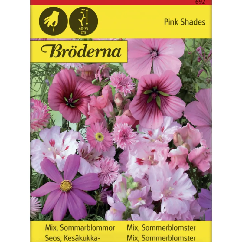 seos-roosanvrisi-keskukkia-sie-tMzOmikV-0.webp Bröderna Nelsons Kasvien Ja Nurmikonsiemenet-Seos Roosanvärisiä Kesäkukkia Siemen