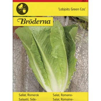 Bröderna Nelsons Kasvien Ja Nurmikonsiemenet-Sidesalaatti Lobjoits Green Cos Siemen