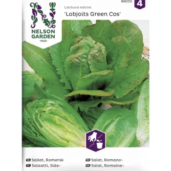 Nelson Garden Basic Kasvien Ja Nurmikonsiemenet-Sidesalaatti Siemen Lobjoits Green Cos