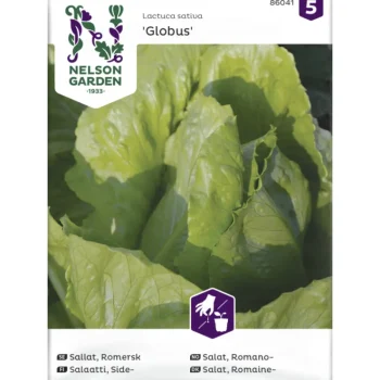 Nelson Garden Basic Kasvien Ja Nurmikonsiemenet-Sidesalaatti Siemen Globus