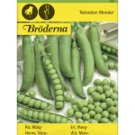 Bröderna Nelsons Kasvien Ja Nurmikonsiemenet-Silpoherne Kelvedon Wonder Siemen