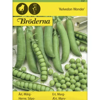 Bröderna Nelsons Kasvien Ja Nurmikonsiemenet-Silpoherne Kelvedon Wonder Siemen