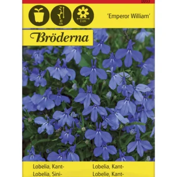Bröderna Nelsons Kasvien Ja Nurmikonsiemenet-Sinilobelia Emperor William Siemen