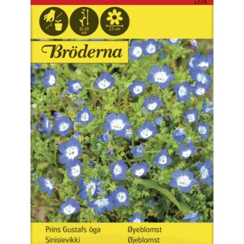 Bröderna Nelsons Kasvien Ja Nurmikonsiemenet-Sinisievikki Siemen