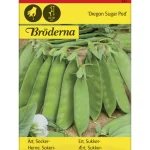 Bröderna Nelsons Kasvien Ja Nurmikonsiemenet-Sokeriherne Oregon Sugar Pod Siemen