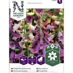 Nelson Garden Basic Kasvien Ja Nurmikonsiemenet-Sormustinkukka Siemen Väriseos