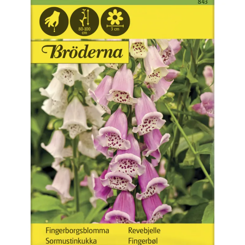sormustinkukka-vriseos-siemen-idwxrRAe-0.webp Bröderna Nelsons Kasvien Ja Nurmikonsiemenet-Sormustinkukka Väriseos Siemen