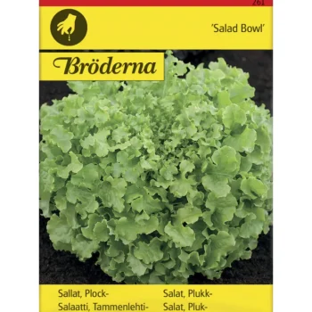 Bröderna Nelsons Kasvien Ja Nurmikonsiemenet-Tammenlehtisalaatti Salad Bowl Siemen